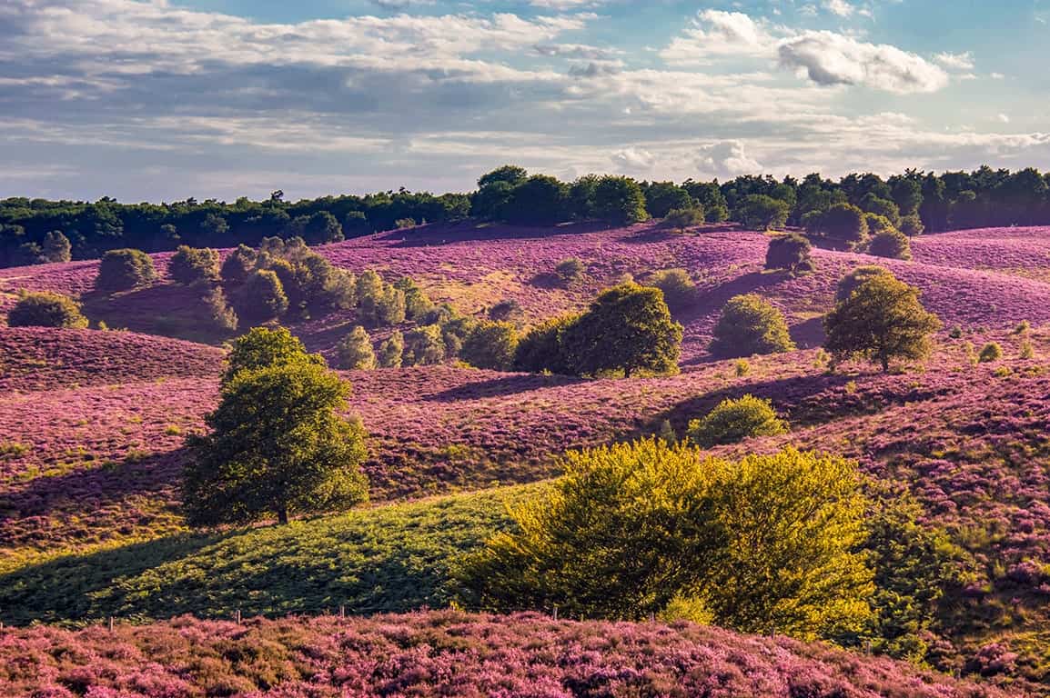 De beste hotels op de Veluwe al vanaf €50 - Voordeeluitjes.nl